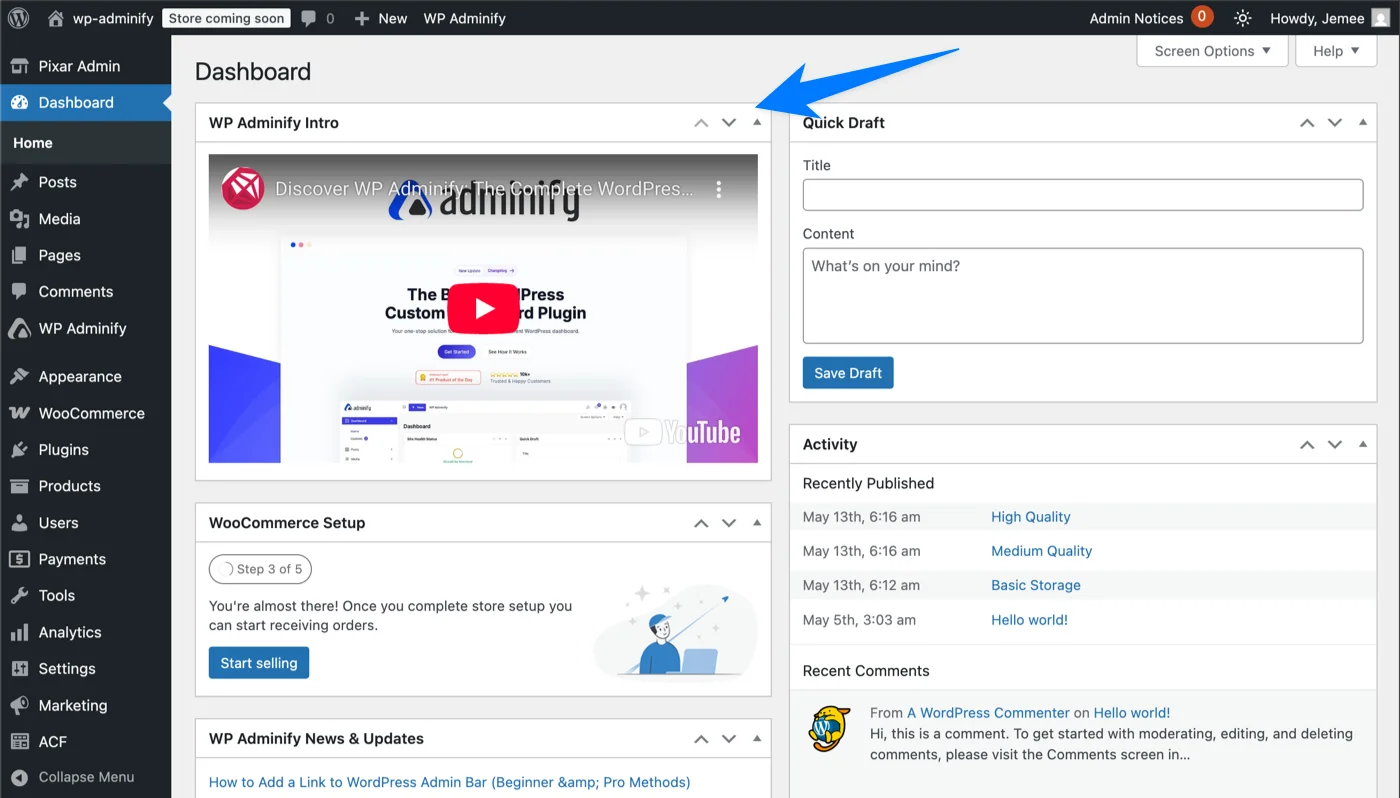 Output for Video widget in WordPress Dashboard