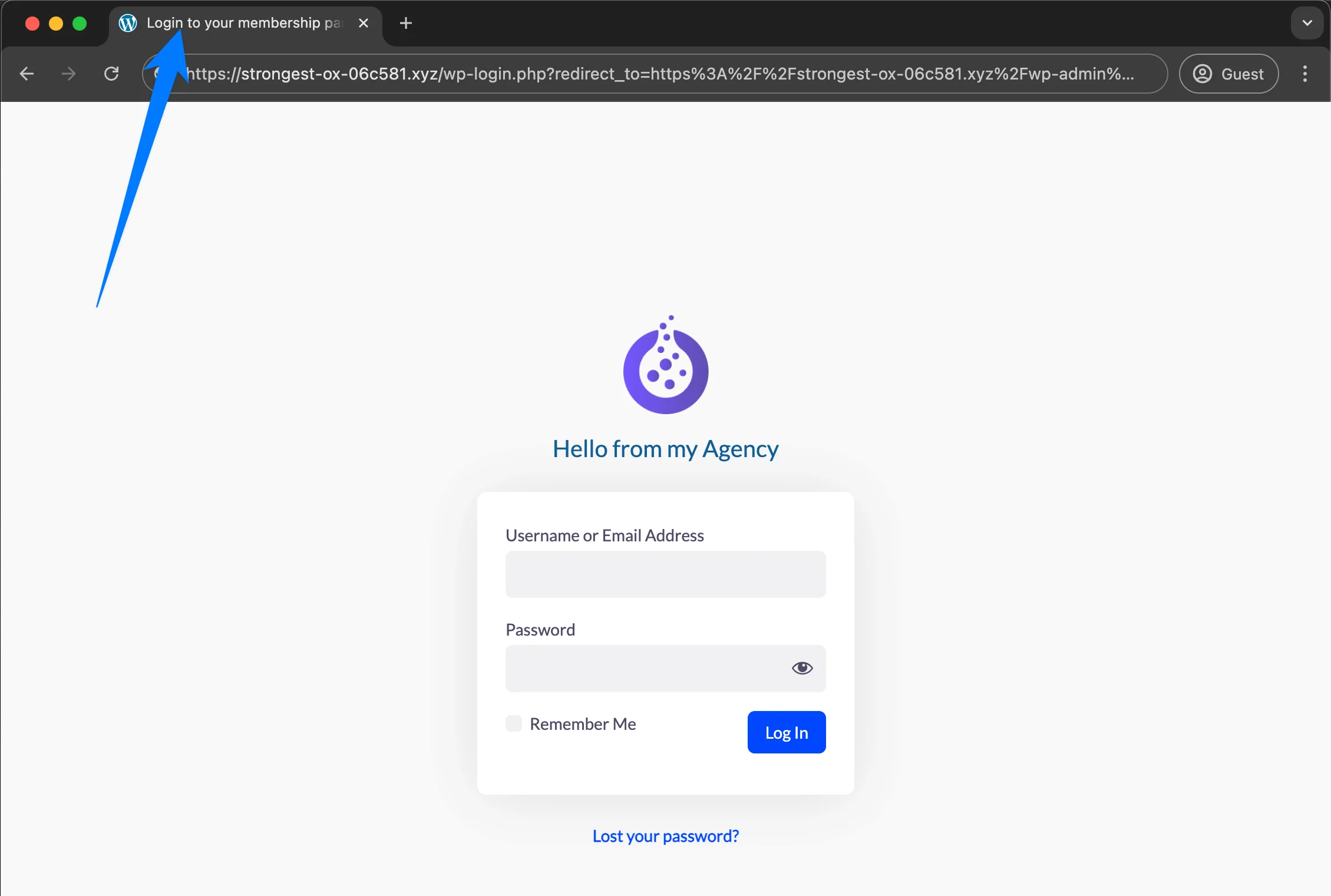 Change WordPress login page title