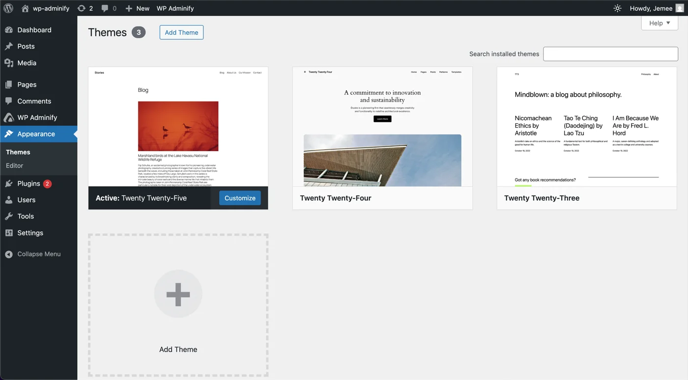 Themes option panel in WordPress