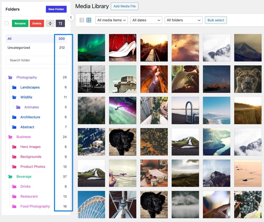 Smart media folder analytics dashboard in WP Adminify showing organized media usage
