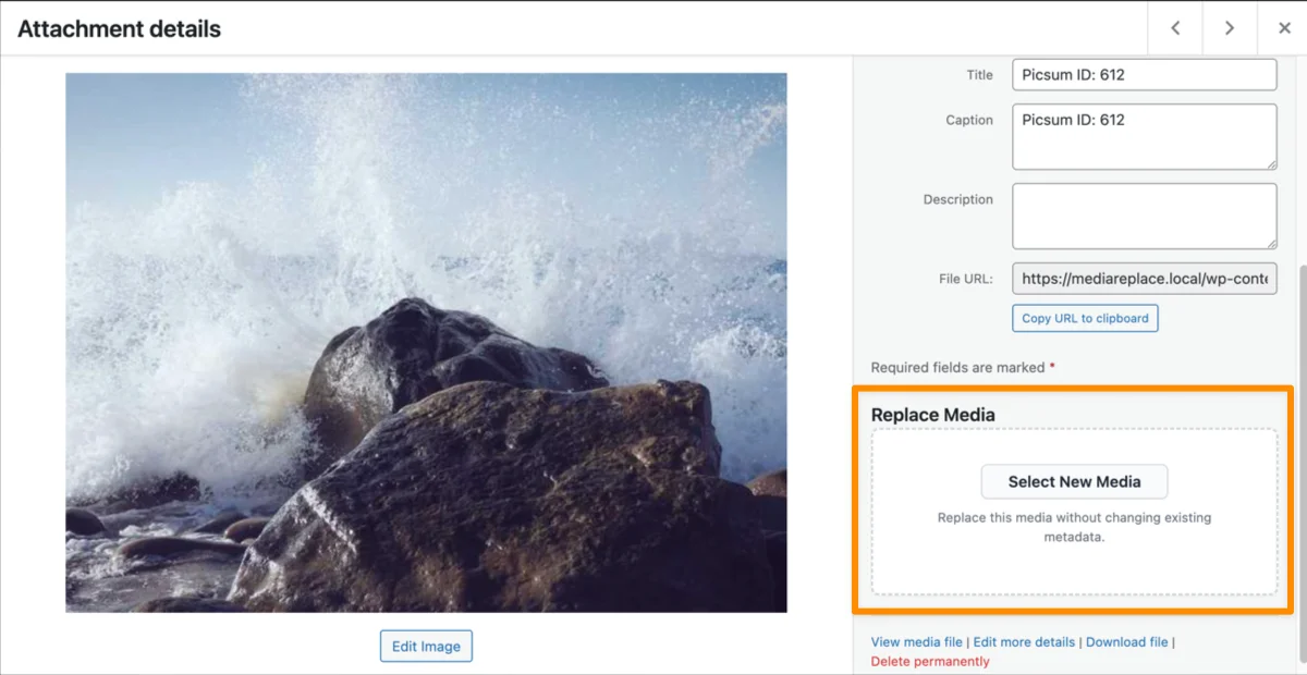 Select the Image to Replace