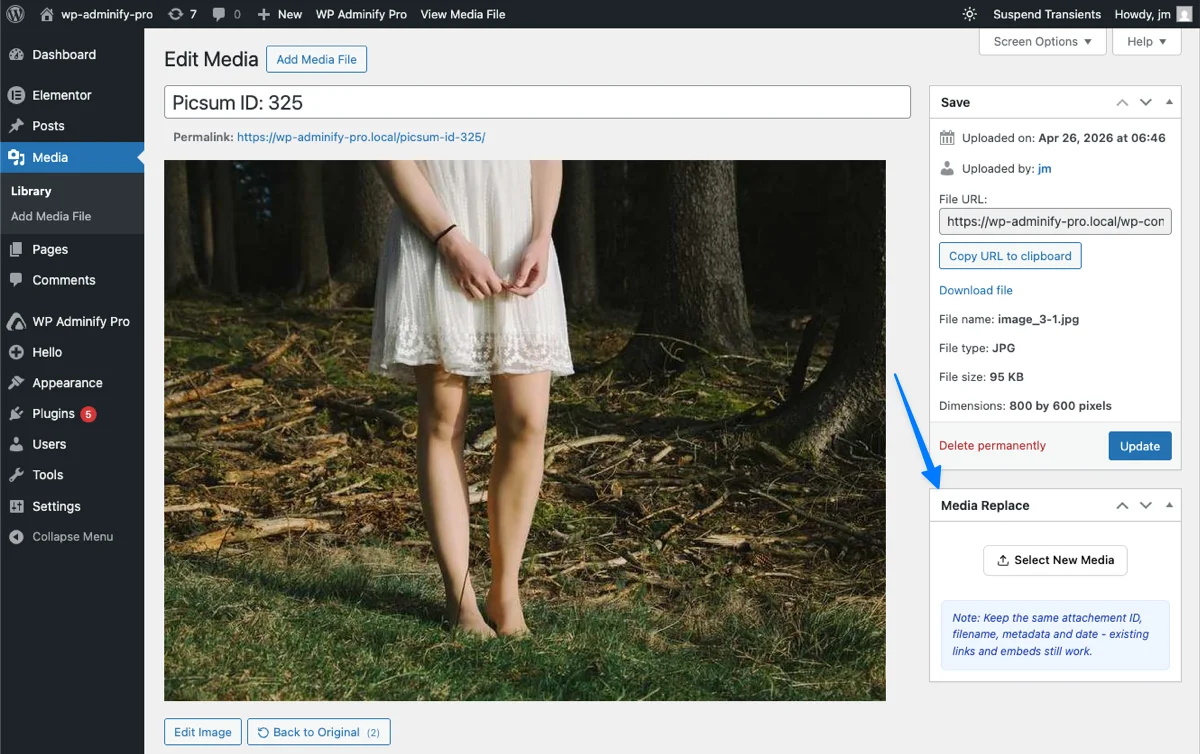 locate the media replace metabox in attachment page