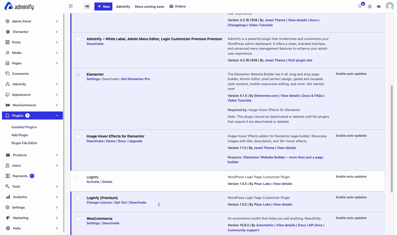 WordPress plugins screen showing WP Adminify and Loginfy both installed and active