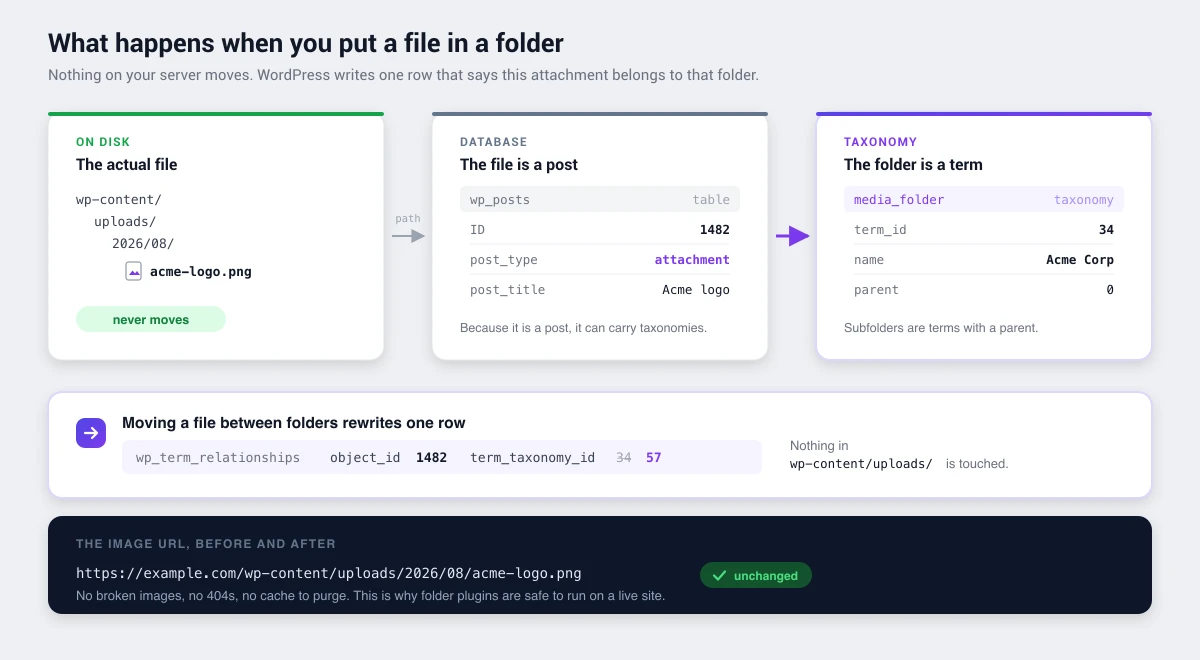 Diagram showing how WordPress media folders map attachments to taxonomy terms: the file stays in wp-content/uploads, its record is a row in wp_posts, and the folder is a term linked through wp_term_relationships